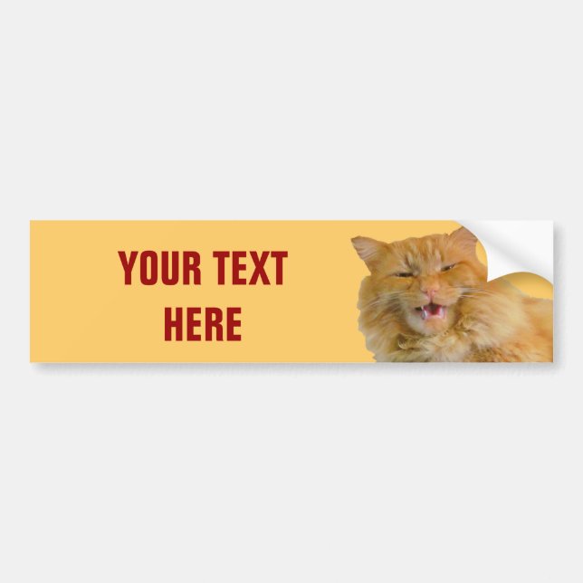 Orange Talking Cat Pumpkin Your Text Bumper Sticker (Front)