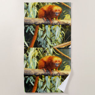 Orange Tamarin Marmoset Monkey, Beach Towel