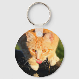 Orange thirsty cat keychain