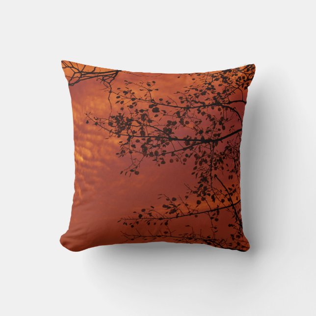 orange throw pillow with Asian flavour (Front)