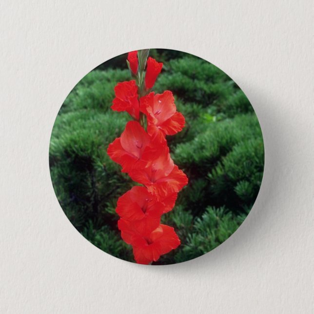 Orange Tiger Flame Gladiolus flowers 2 Inch Round Button (Front)