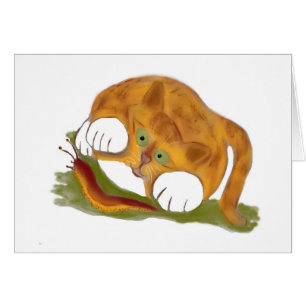 Orange Tiger Kitten and a Pacific NW Slug