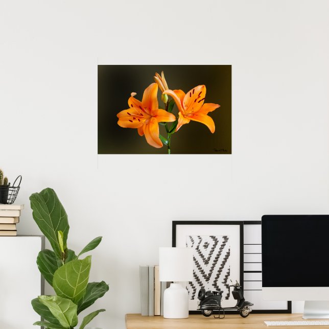 Orange Tiger Lillies and Buds Close Up Photograph Poster (Home Office)