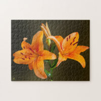 Orange Tiger Lillies Buds Close-Up Photography
