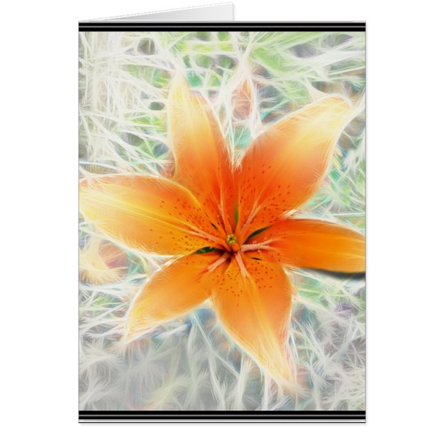 Orange Tiger Lily (Front)