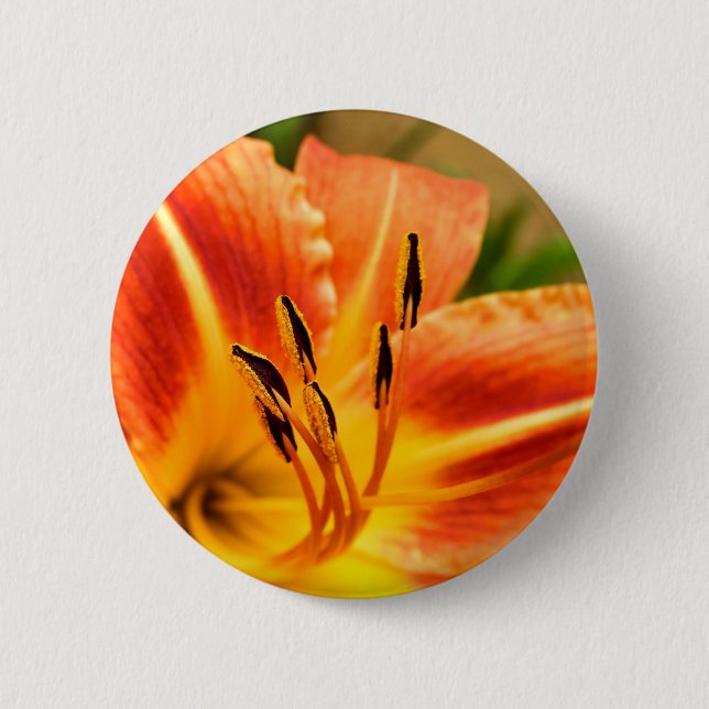 Orange Tiger Lily Badge 2 Inch Round Button (Front)