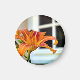 Orange Tiger Lily Magnet