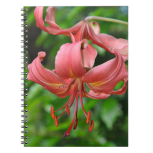 Orange tiger lily print notebook