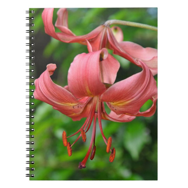 Orange tiger lily print notebook (Front)
