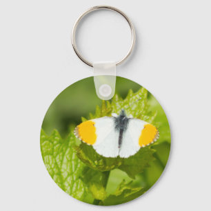 Orange Tip butterfly Keychain