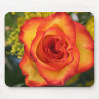 Orange Tipped Rose Mouse Pad
