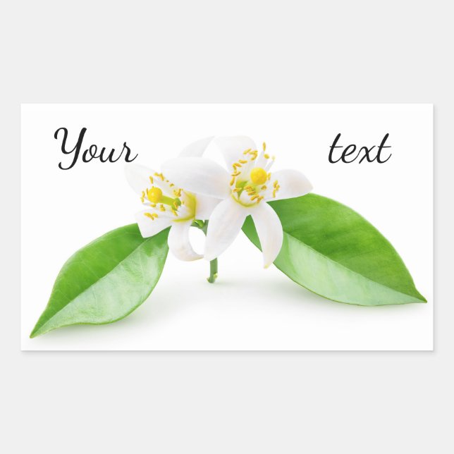 Orange tree flowers sticker (Front)