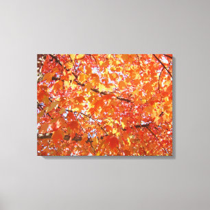 Orange Tree Leaves art prints gifts Fall Landscape
