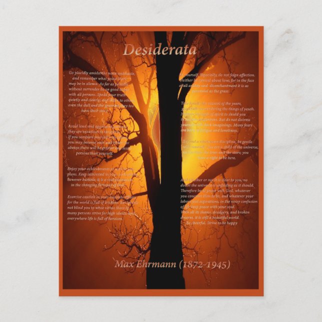 Orange Tree Postcard (Front)