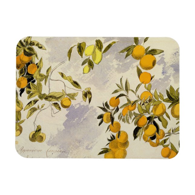 Orange Trees, 1863 (w/c, pen and ink over graphite Magnet (Horizontal)