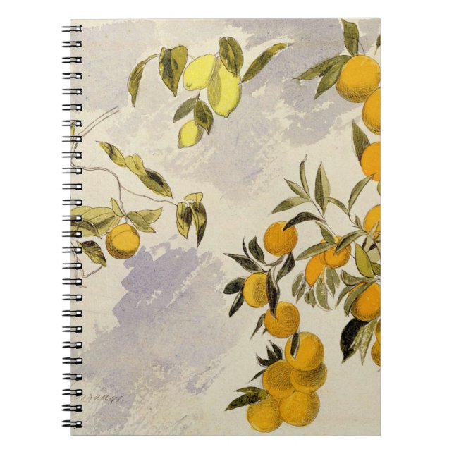 Orange Trees, 1863 (w/c, pen and ink over graphite Notebook (Front)