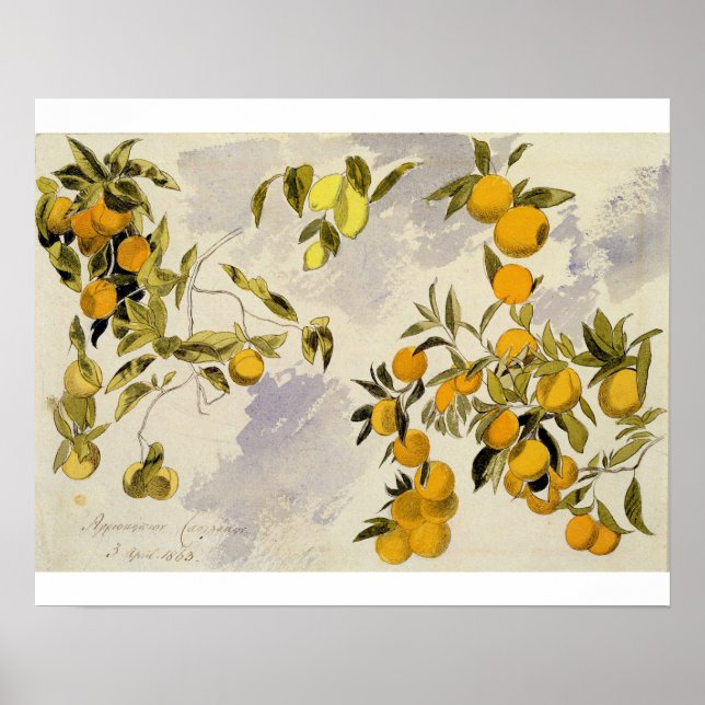 Orange Trees, 1863 (w/c, pen and ink over graphite Poster (Front)