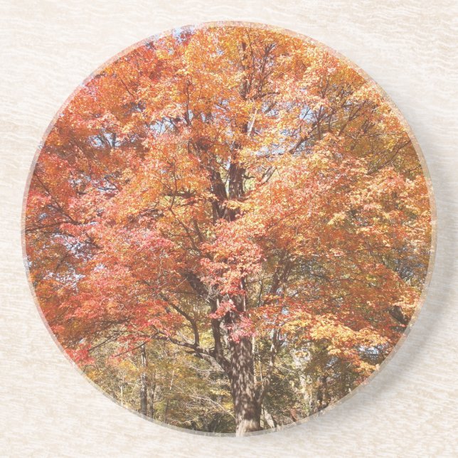 Orange Trees Coaster (Front)