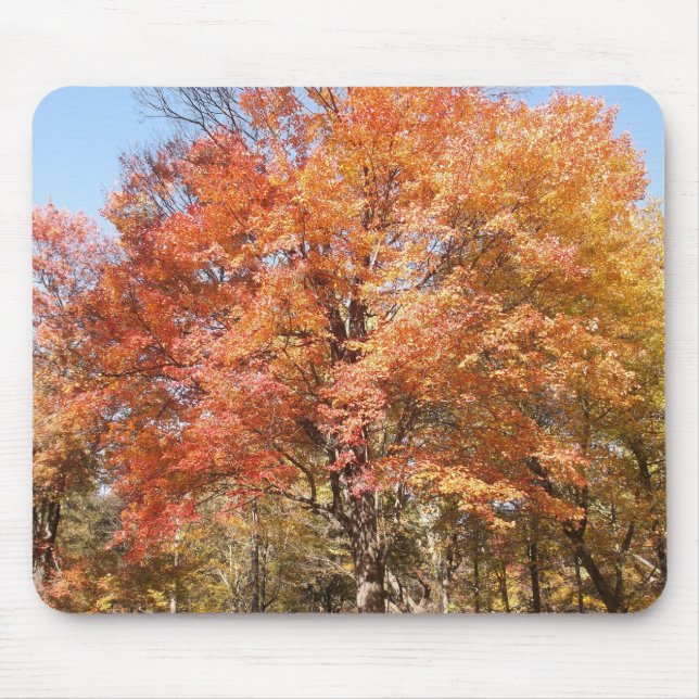 Orange Trees Mouse Pad (Front)