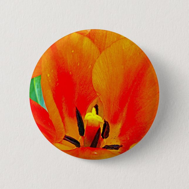 Orange Tulip 2 Inch Round Button (Front)