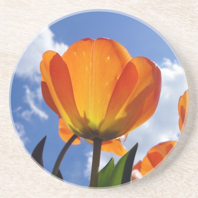 Orange Tulip, Blue Sky Coaster (Front)