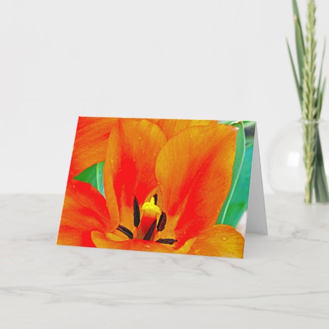 Orange Tulip Card (Front)