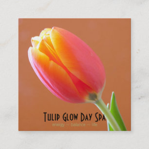 Orange Tulip Close-Up Photo Business Appointment