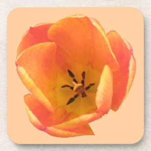 Orange Tulip Cork Coaster