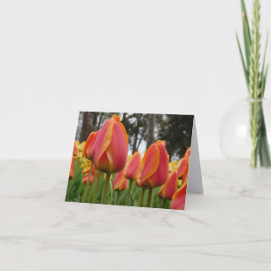 Orange Tulip Fine Art Photography Folded Note Card