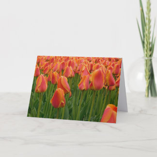 Orange Tulip Fine Art Photography Folded Note Card