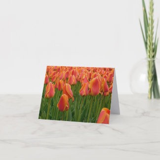 Orange Tulip Fine Art Photography Folded Note Card