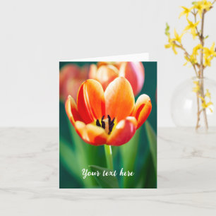 Orange Tulip Greeting Card