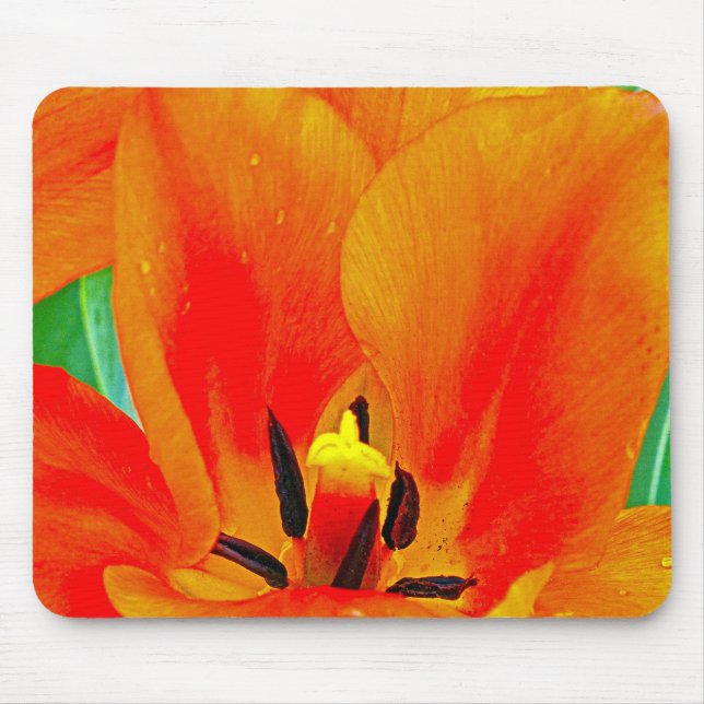 Orange Tulip Mouse Pad (Front)