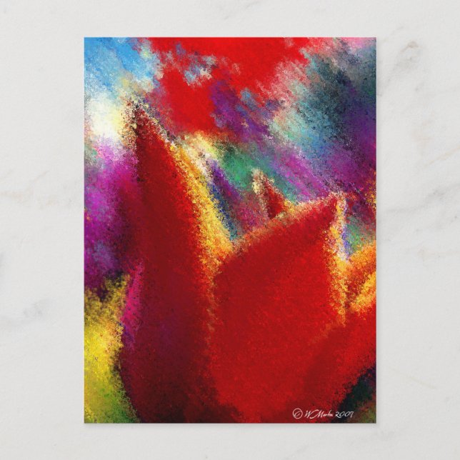 Orange Tulip Postcard (Front)