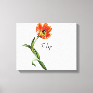 Orange Tulip Watercolor Canvas Print
