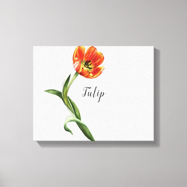 Orange Tulip Watercolor Canvas Print (Front)