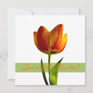 Orange Tulip Wedding Save the Date Announcement