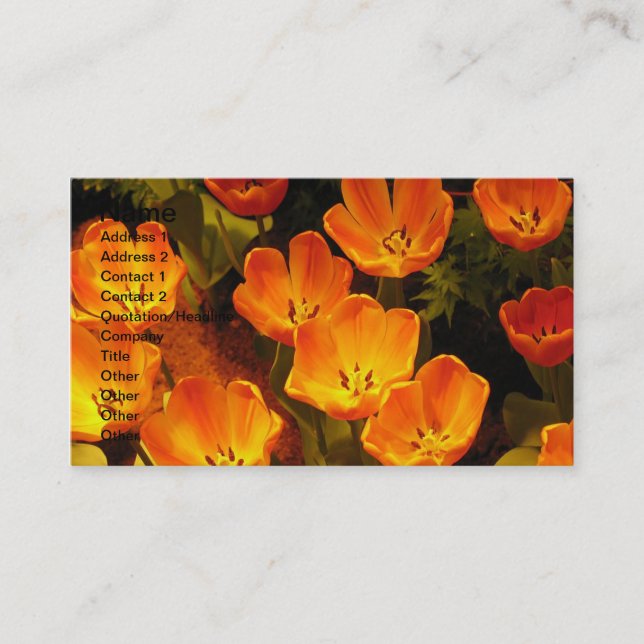 Orange Tulips Business Card (Front)