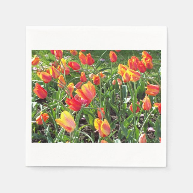 Orange Tulips Cocktail Napkins (Front)
