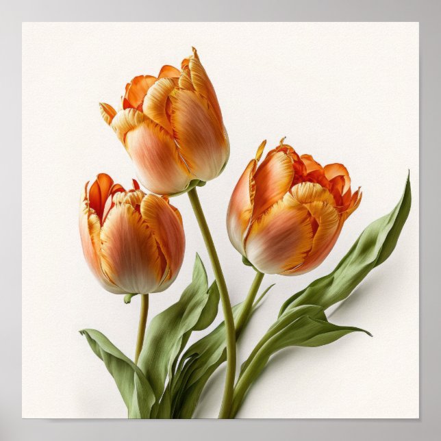 Orange Tulips Flower Art Print Poster (Front)