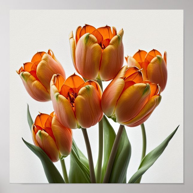 Orange Tulips Flower Art Print Poster (Front)