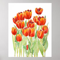 orange tulips  flowers watercolor