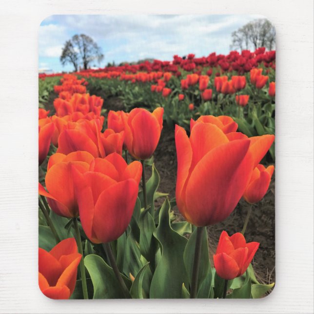 Orange Tulips in a Field, Oregon Mouse Pad (Front)