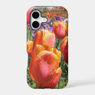 Orange Tulips iPhone 5 case