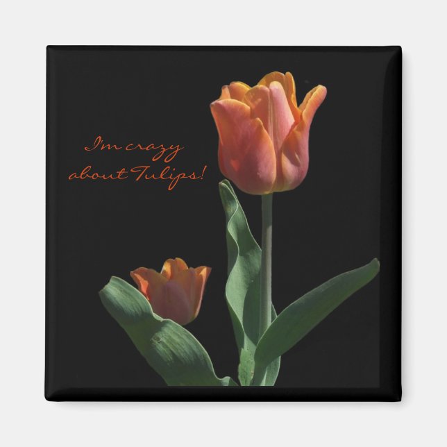 "Orange Tulips" Magnet (Front)
