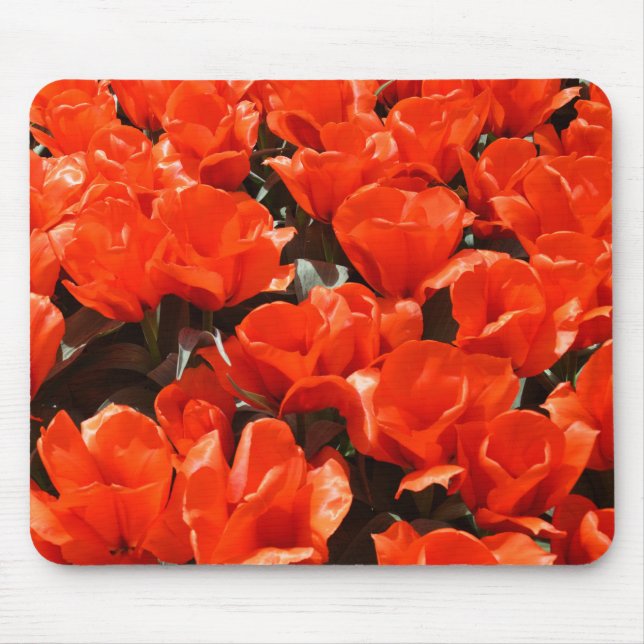 Orange tulips mouse pad (Front)