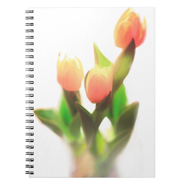 Orange Tulips Notebook (Front)