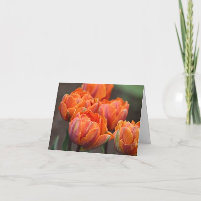 Orange tulips notecards (Front)