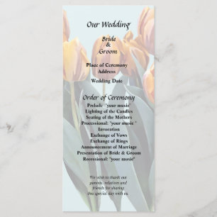 Orange Tulips Program