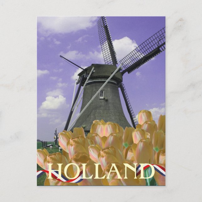 Orange Tulips Windmill Art Holland Postcard (Front)
